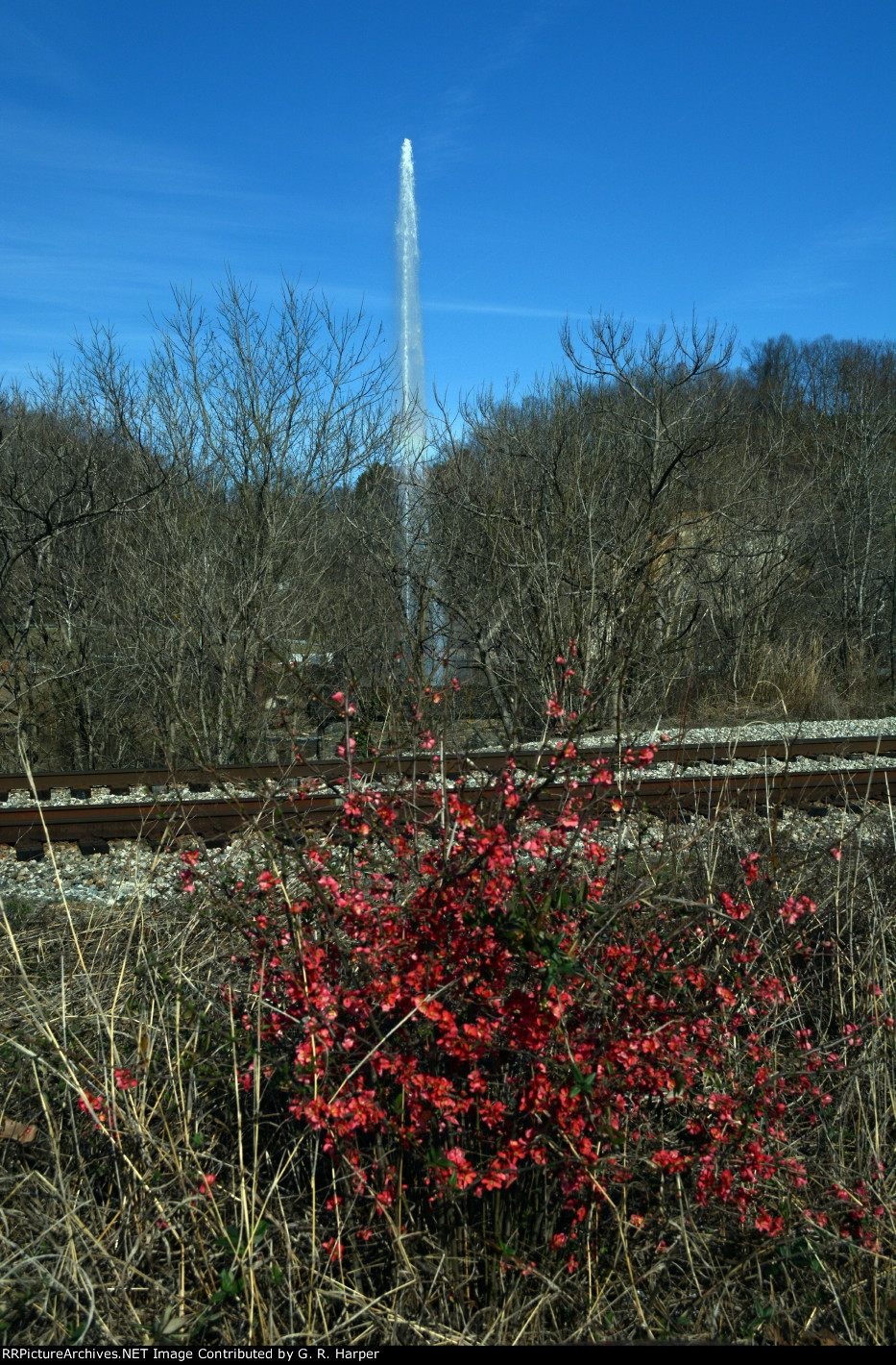 A picture of red bud in bloom, the CSX double track right-of-way and the Langley Fountain top off a nice afternoon on the riverfront in downtown Lynchburg.